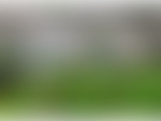 Fungal Evolution Discovered