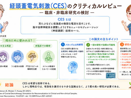 経頭蓋電気刺激（CES）のクリティカルレビュー
一 臨床・非臨床研究の検討ー