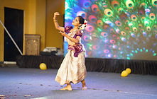 WhatsApp Image 2024-10-02 at 2.10.48 PM (1).jpeg