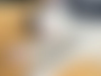 Kitten of the Month - Otto