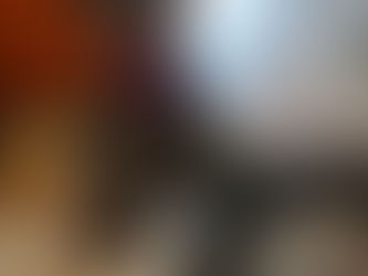 Staff Pets of the Month - Hamilton & Coral!