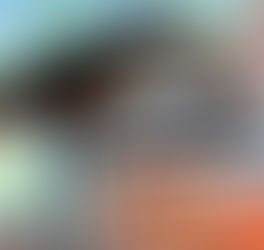 Exotic Pet of the Month - Isabella