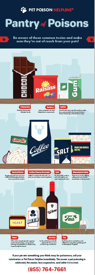 Common household toxins