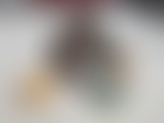 Staff Pet of the Month - Arnold!