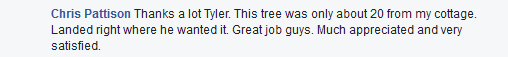 Tilden Tree Services Testimonials