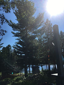 Red Pine View Prunning