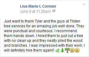 Tilden Tree Services Testimonials