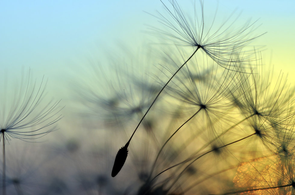 AdobeStock_68783606.jpeg