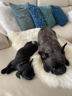 Amaya Altea gemütlich mit ihrer Mama auf der Couch