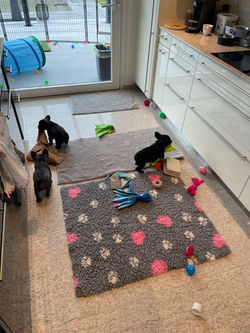 Die Küche vollständig unter Kontrolle.