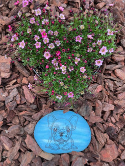 Letzte Ruhestätte in unserem Garten.