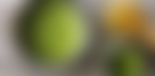 Todo sobre el té Matcha bio