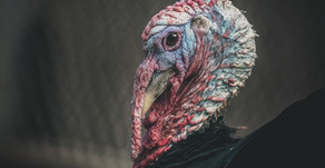 Thank you for my turkey