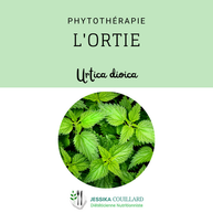 L'ortie...aïe aïe Aïe!
