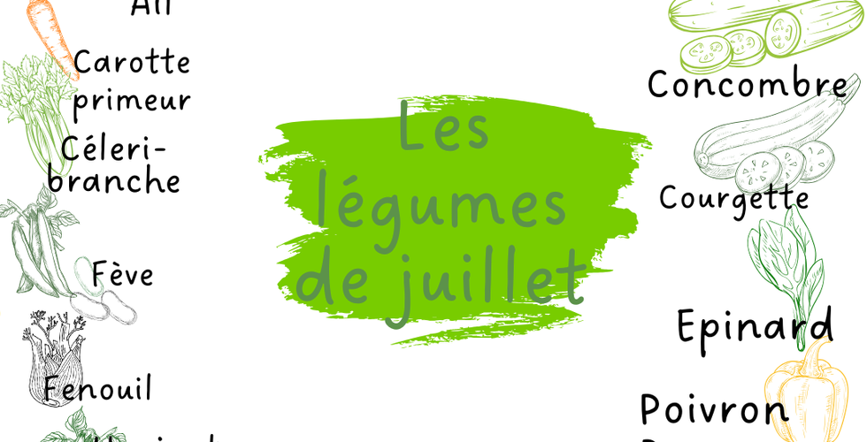 Les légumes français à consommer en juillet