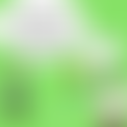 Le pas à pas des recommandations nutritionnelles