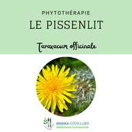 Petit point sur Le Pissenlit