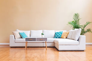Sectional Couch.jpeg