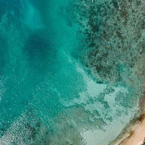 Living in Luxury | The Most Expensive Mistakes in Real Estate are Often the Ones You Never See Coming—until it’s too late.