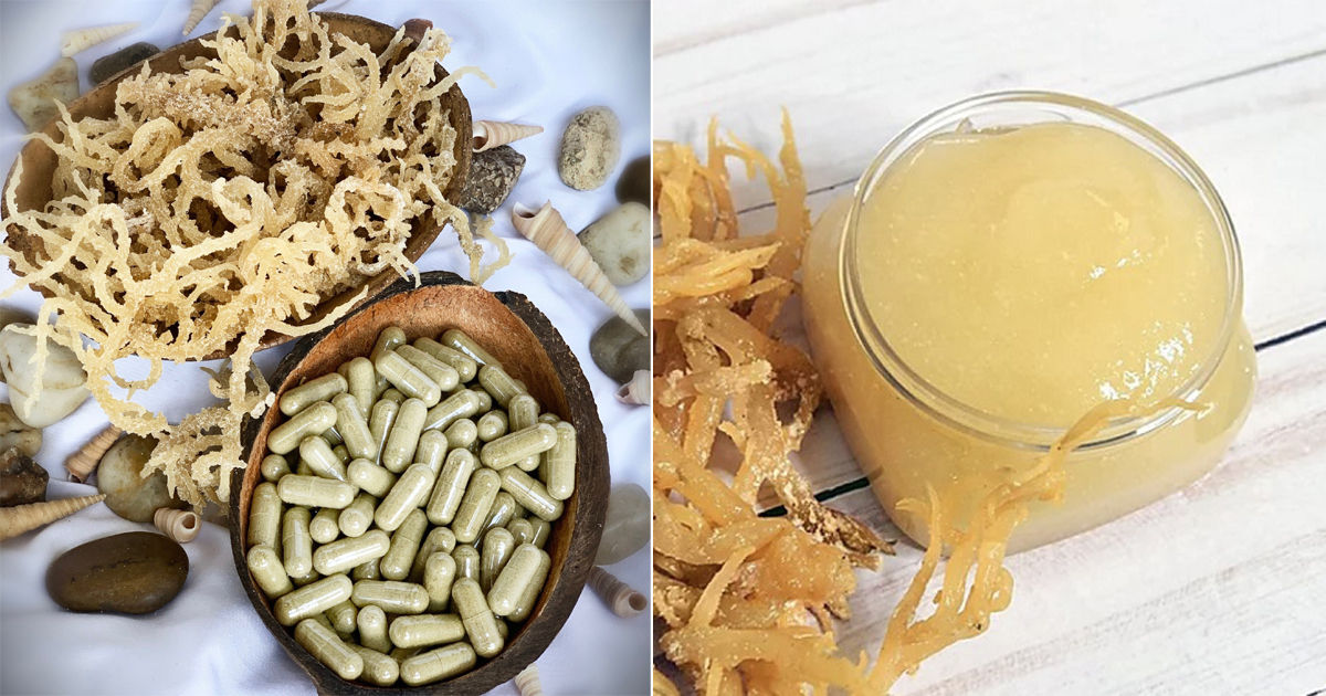 Seamoss Capsules 30 Day Supply