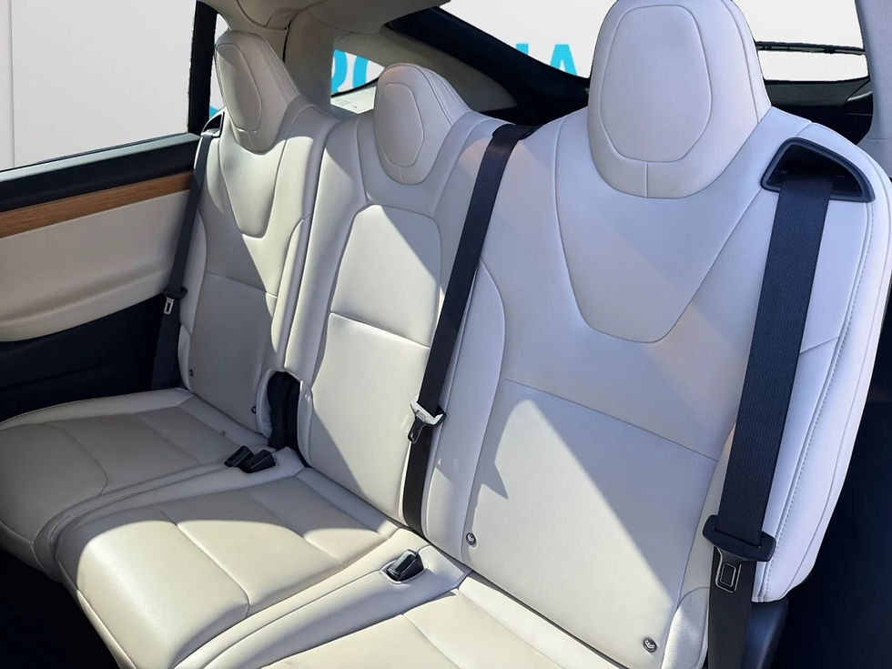 Thumbnail: RENT: 2019 Tesla Model X