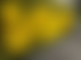 Van der Plas renforce ses engagements durables en 2025