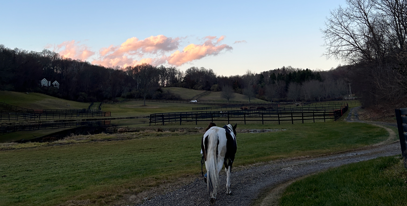 a horse and teenager walking on a farm at sunset