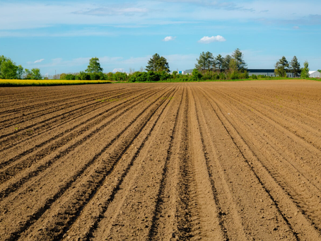 Legal Requirements for Agricultural Land Purchase