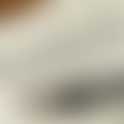 How to Draft a Power of Attorney: Types, Format, and Registration Process