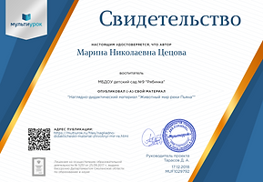 Свидетельство Наглядно-дидактический мат