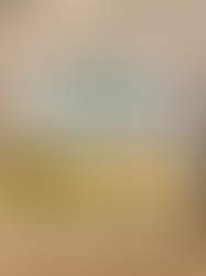 Book Review- How to apologize