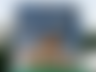 Book Review- The Smartypants Series by Anushka Ravishankar