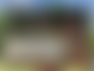 Book Review- The monster who could not climb a tree