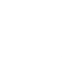 logo-camizole-final_V1-blanc.png