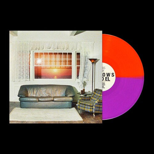 Wallows Model (Indie Exclusive, Clear Vinyl, Orange)