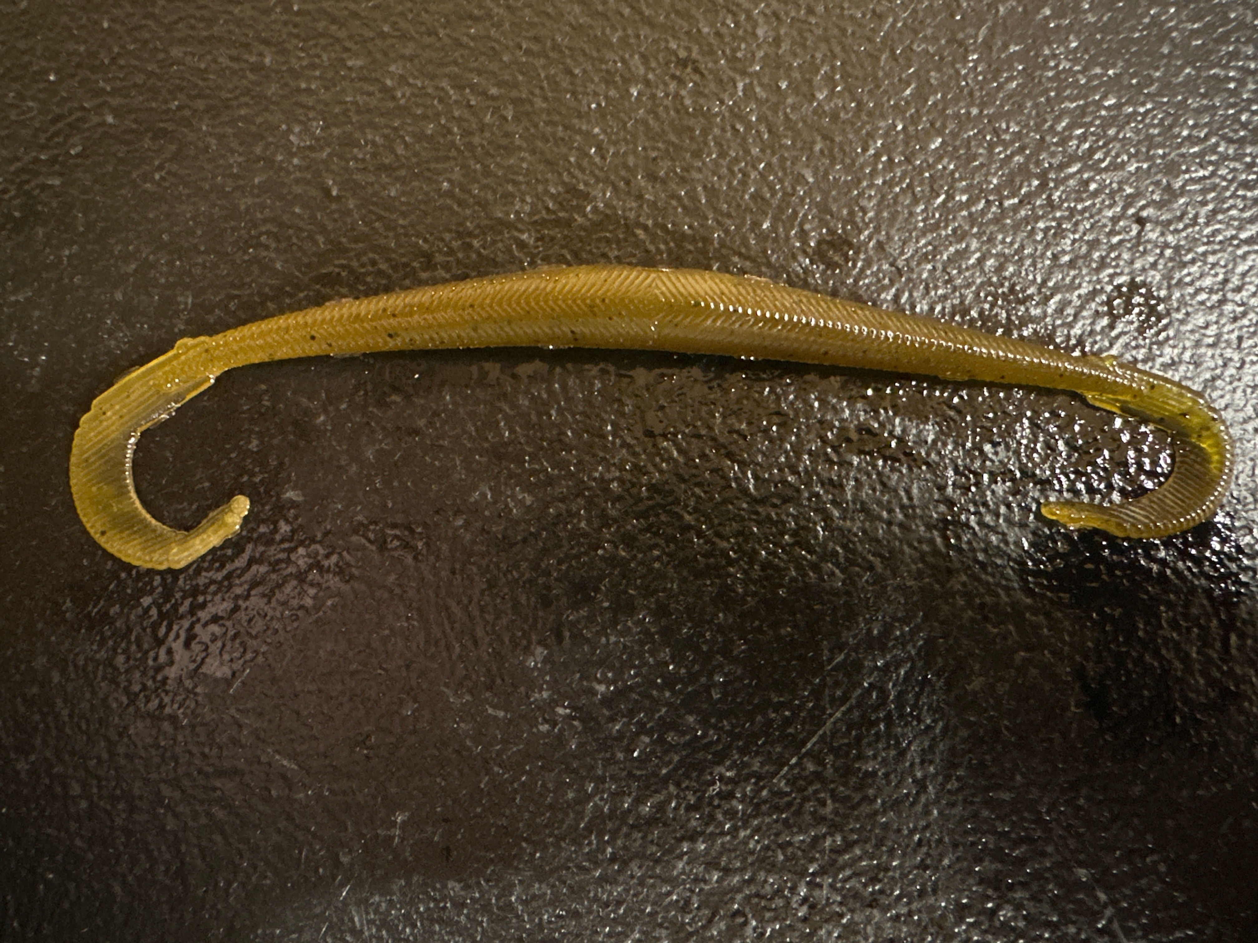 6” Curly Tail Wacky  Worm Green Pumpkin  10/bag