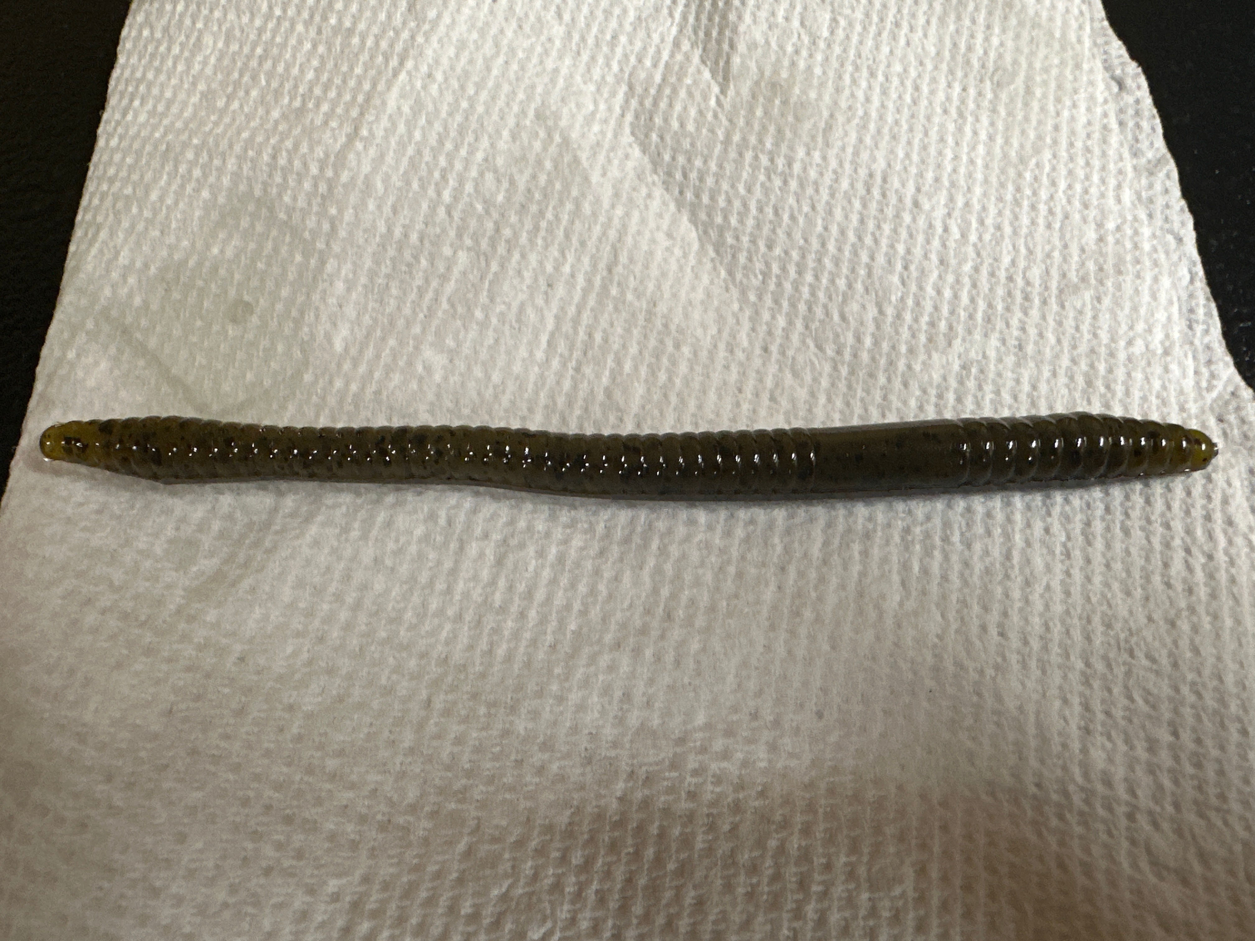 4.75” FNS Worm   Green Pumpkin   12/bag