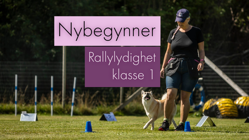 hovedbilde introkurs