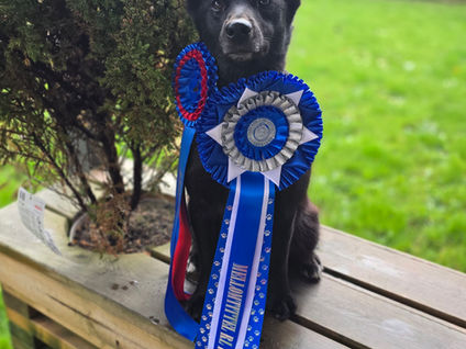 Ny tittel til Fiona 🏅