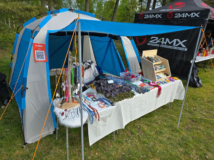 Stand på hamresanden