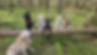 20240317_110340(0).jpg (1).jpeg