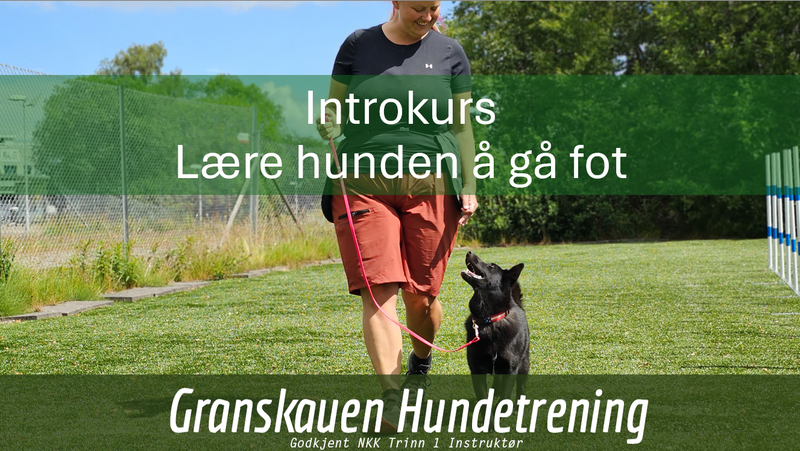 forsidebilde for grunnkurs