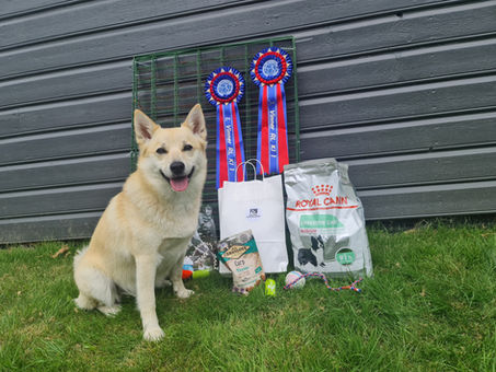 Rallylydighetstevne i Egersund 24.-25.juli 2021