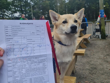 Rallystevne i Kristiansand 9.-10.oktober 2021