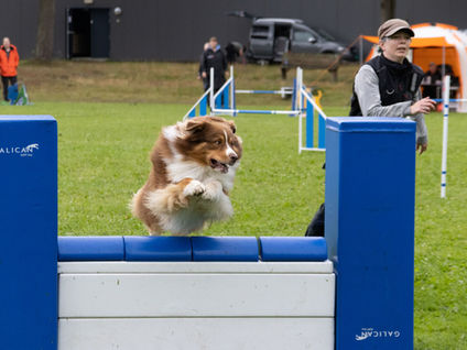 📸Stevnefotograf i Farsund📸