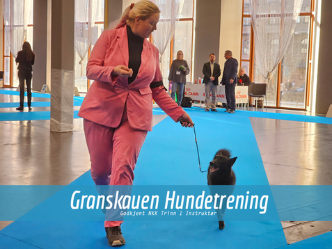 NYHET! Kurs i utstilling er publisert!