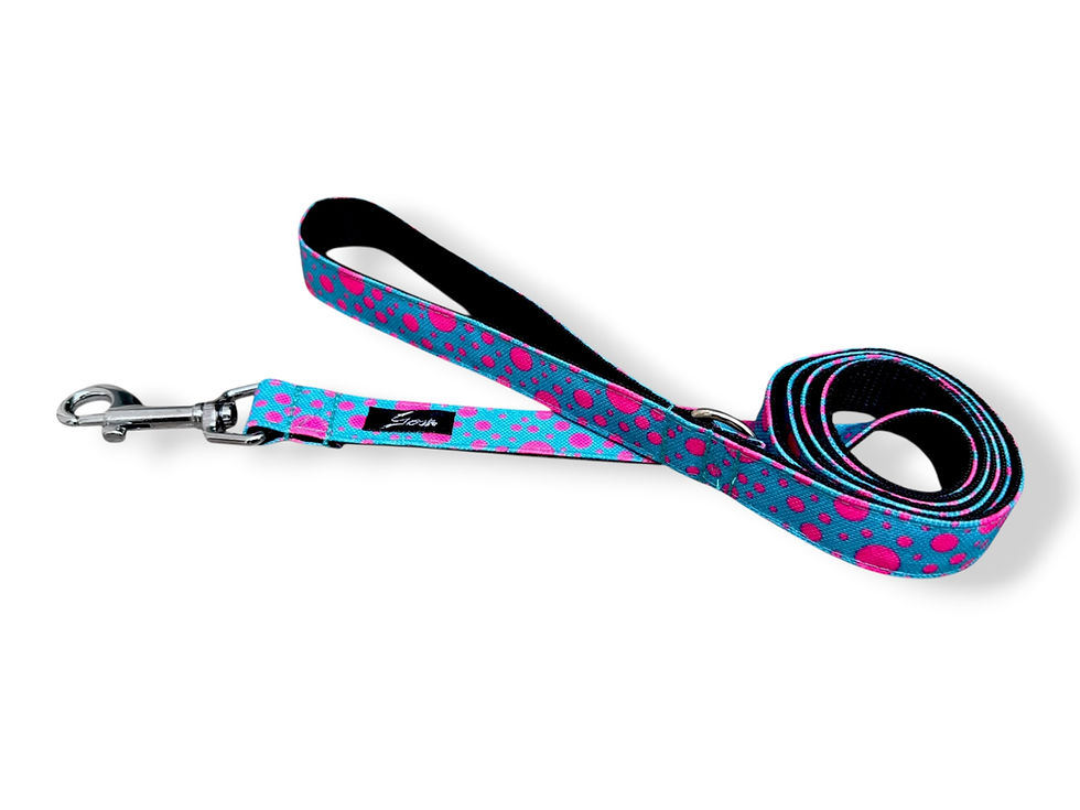Miniatura: CORREA PINK DOTS