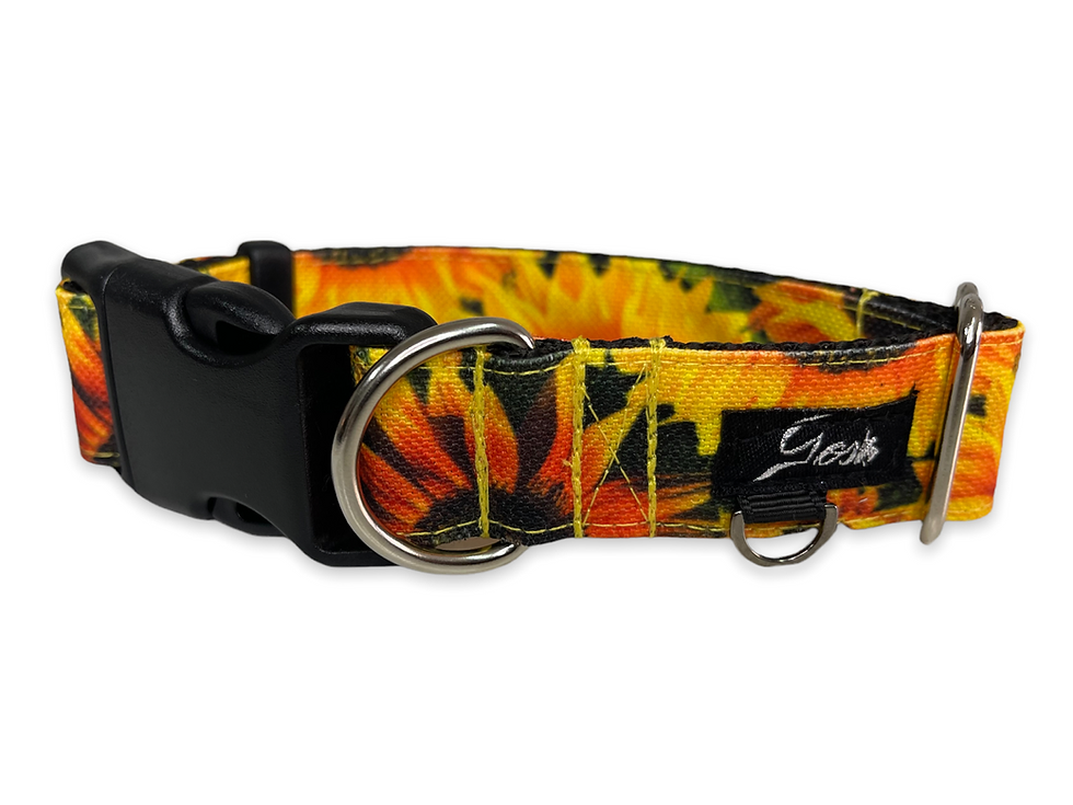 Miniatura: COLLAR SUNS