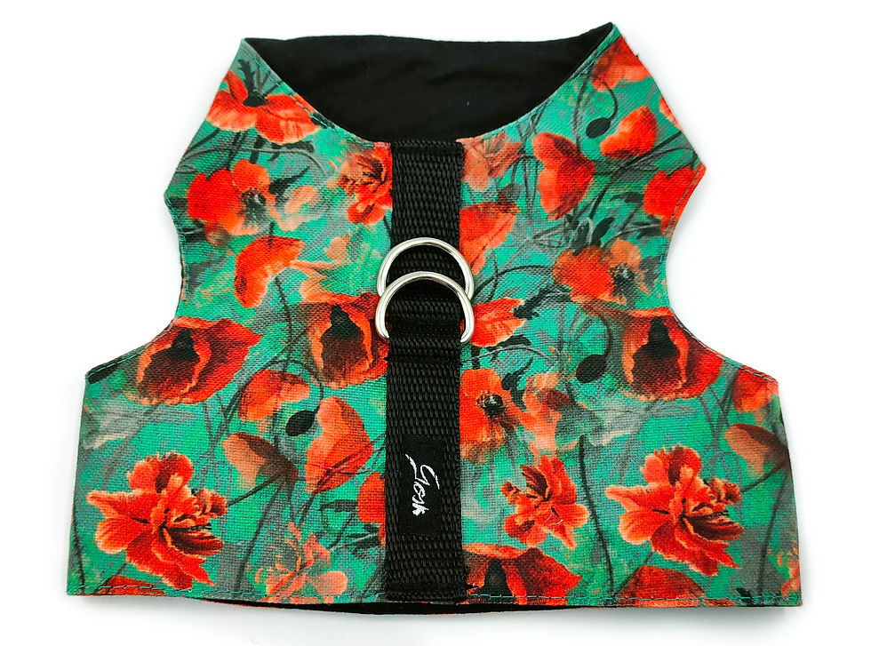 ARNÉS CHALECO ROSELLA - TURQUESA