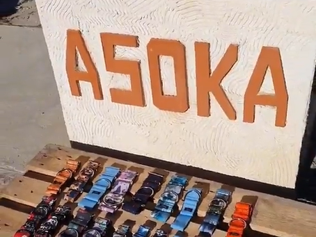 Donación a la asociación Asoka el grande